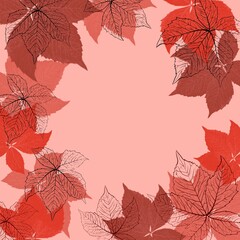 Hand drawn square frame background with fall autumn vine grale leaves. Red beige marsala leaf template with copyspace. Elegant natural foliage plants.