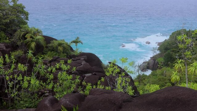 Nature of the Anse Major Trail trekking route, Seychelles