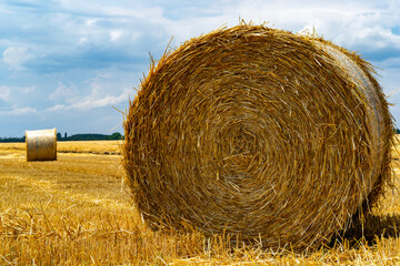 Round straw bales rolled up on a field against a blue sky, a summer harvest landscape. A series of pictures