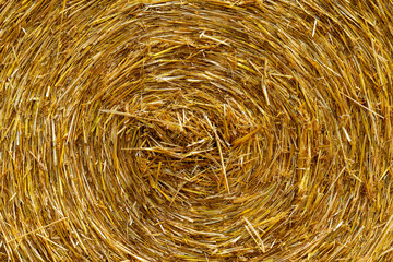 The texture of hay. Hay bales are stacked in large piles. Harvesting in agriculture.