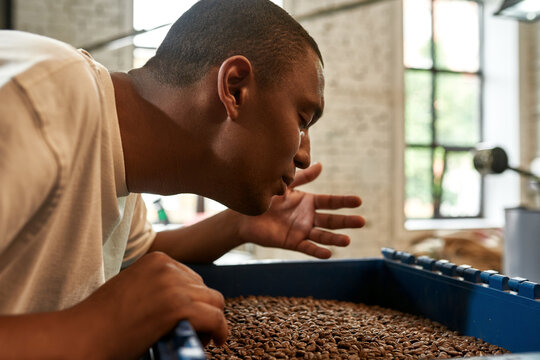 Business owner sniffing fresh roasted coffee beans