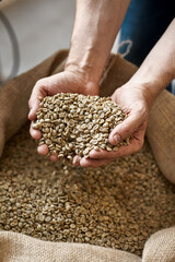 Farmer hands holding green coffee beans over sack