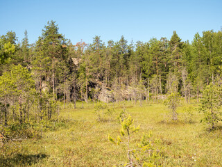 landscape with rocks and a swamp