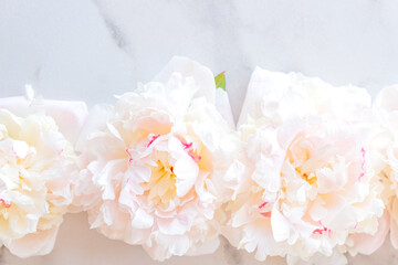 Flower composition. Pink peony flowers on white marble background. Flat lay. Top view with copy space. Mothers day or wedding background. Festive concept. Mockup