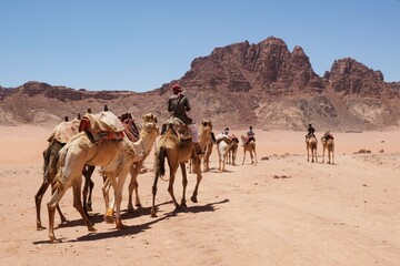 Bedouins with camels on Wadi Rum Desert in Jordan. The amazing Wadi Rum desert with Martian scenery.