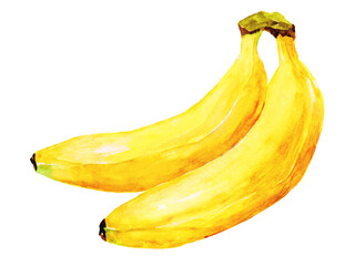 熟したバナナ　水彩手描きイラスト - obrazy, fototapety, plakaty