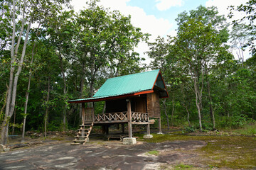 wooden house in the forest. hut on the stone terrace