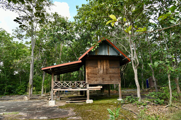 Fototapeta na wymiar wooden house in the forest. hut on the stone terrace