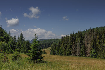 Fototapeta na wymiar Valley, forest, sky in Slovak Paradise