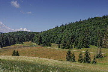 Valley, forest, sky in Slovak Paradise