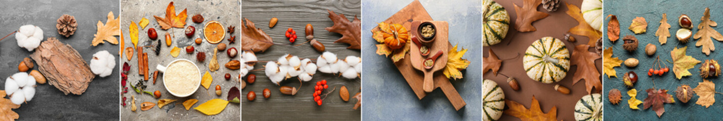 Collage with many autumn leaves, berries, pumpkins and nuts, top view
