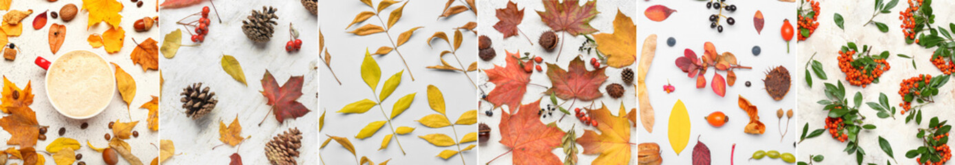 Collage with many autumn leaves on light background, top view