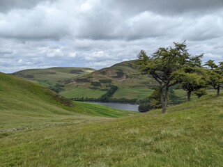 Fototapeta premium trail in the hills