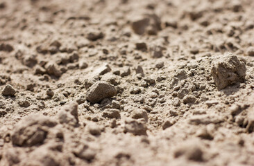 closeup grey-brown soil and sand with texture against blurred background and bokeh