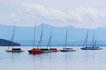 Fototapeta premium sail boats in Starnberg lake in Bayern