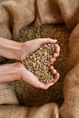 Girl hands holding coffee beans in form of heart