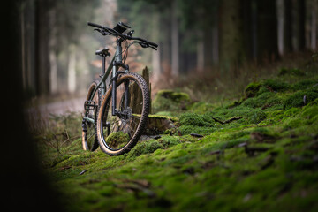 Fototapeta premium BIK MTB
