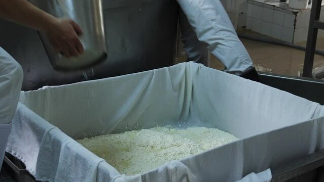 The process of making cheese - bale out the curds to separate from the whey by filtering through a white cloth