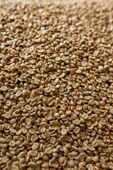 Close up of organic natural green coffee beans