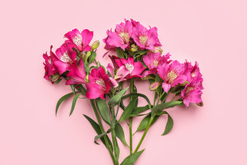 Beautiful alstroemeria flowers on pink background, closeup