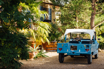 une voiture garée sous un palmier dans un joli jardin. Une jolie Citroën méhari bleue...