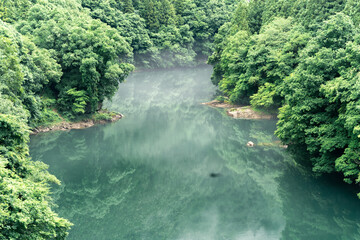 Naklejka na ściany i meble River with mountain mist weather day in the forest of Japan. Summer season green tree with the deep river mountain range. Nature background cloudy day in the morning. 