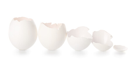 Composition with egg shells on white background