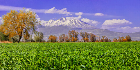 Erciyes Mount with height of 3,864 metres is the highest mountain in Cappadocia and central...