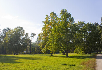 Fototapeta na wymiar Arboretum park Alexandria in Belaya Tserkov, Ukraine 