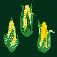 Vector - corn plants pattern, watercolor illustration.