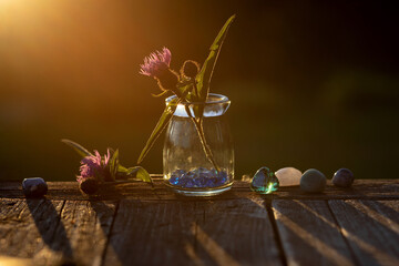 Scottish flower thistle in a glass vase, pebbles, crystals, colored crystals in the sunset rays of...