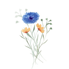 Wildflowers. Watercolor bouquet. Decoration for your design.