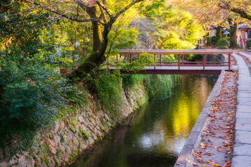 Philosopher's Path at golden hour in autumn with reflections in the water in Kyoto, Japan. A cherry tree lined canal and pedestrian path popular with locals and tourists particularly in spring.