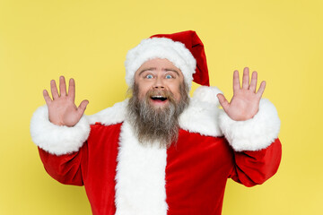 astonished plus size man in christmas costume waving hands isolated on yellow.