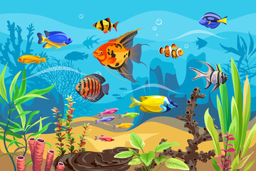 Vector ocean world. Exotic seascape with fish, seaweeds and corals. Aquatic ecosystem. Illustration of underwater life. Undersea bottom.