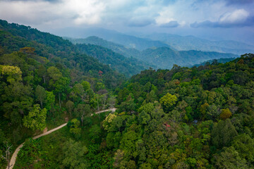 Aerial shot of north tropical rainforest in Thailand