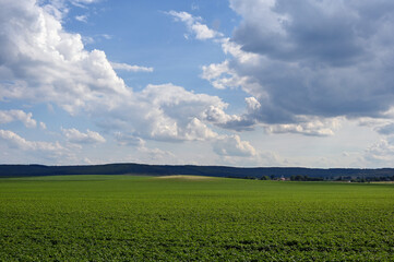 Fototapeta na wymiar beautiful clouds on agricultural green field 