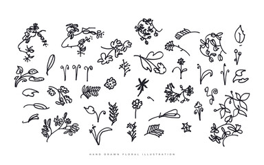 Set of Floral Illustrations. Flower and Leaf Illustration for Poster, Wedding, Greeting Card and Invitation Design