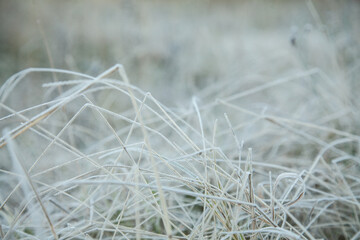Frost covered grass sparkling white