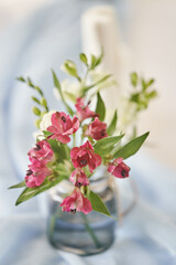 Pink flowers of alstroemeria in a glass vase. A small and elegant bouquet. High quality photo