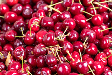 Fresh cherry. Close-up cherries in bulk. cherry background