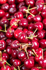 Fresh cherry. Close-up cherries in bulk. cherry background