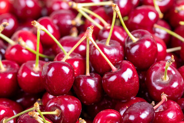 Fresh cherry. Close-up cherries in bulk. cherry background