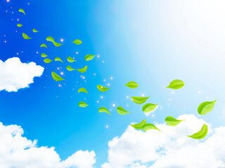 Fototapeta na wymiar 夏の青空と新緑の木洩れ日　背景素材
