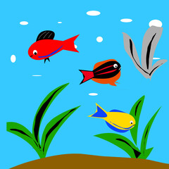 aquarium fish vector illustration