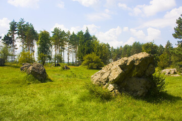 Remains of «Werwolf» (Stavka of Adolf Hitler. Nowadays «Historical and memorial complex of...