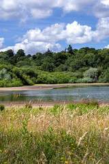 View of Bewl Water reservoir on a summer afternoon, Kent, South of England