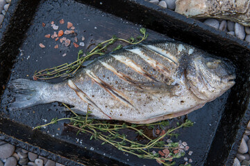 Grilled dorado fish decorated with thyme and oyster on rocks