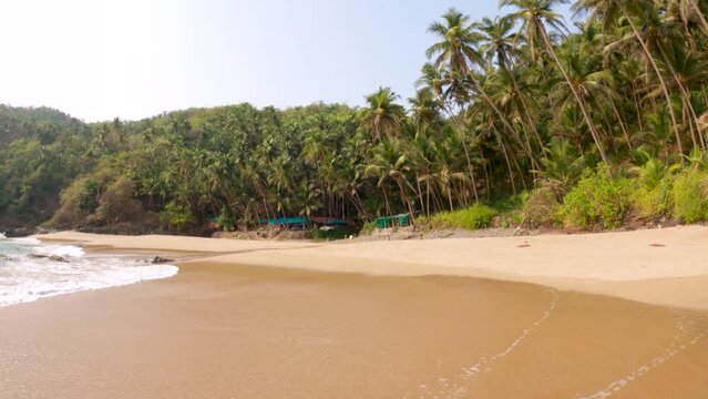 4K Wide angle shot of palm trees besides the empty Kakolem Beach with no people at Goa in India. Hidden and less known beach of Goa. Natural background. Unexplored beach of Goa. Nature background.