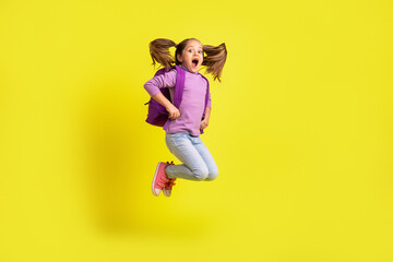 Full length photo of amazed schoolchild jump high enjoy bags discount bargain isolated shine color...